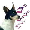 Pinscherbull