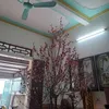 dyjwh5wcdzme