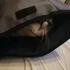 justacatinabag