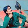 shareef_Cholistani 144