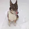 user_marinkin_2121