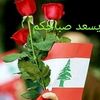 user8242352495817