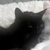 newtscure5