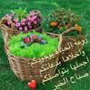 alrshid03