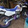 miguelangel362021