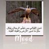 mtsil24