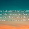 john316._
