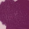 king____muc4p