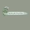 menna30784