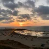 habibaaa553