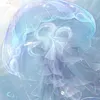 jellymoonz