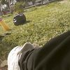alxnn_.ft