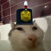 sebas_tian23w