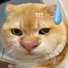_nnotthuman