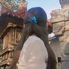 gekdek_578