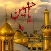 syeda84346