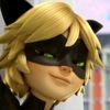 chatnoir623
