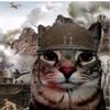 manygames393