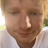 ginger