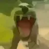 skibidinopro8_