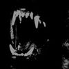 mezoto_edits