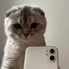tsukuyomiee_r8