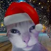 cocomilomococo_