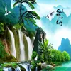 tieu_hong_tran