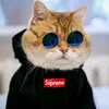 oyen122129