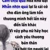 shsshsjnx09