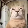 nghgthnh
