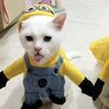 ken_n1232