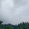 buzang14