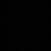 nesspgt