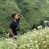 thaiphuong9x