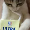 meong1s