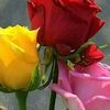 hayal_alemi63