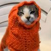 _gato_waton