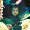 .abigaild