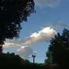 lucifer_6975