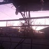 dimdimish6