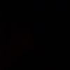 _withfly