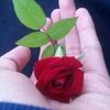 bassam.almkrmey