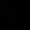 hnyn0325