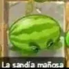 felig.e