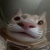 eel_2026