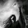 he_he_ali
