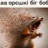 dyv3qtzocxhr