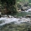 terkalahkan4