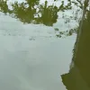 monganhve0